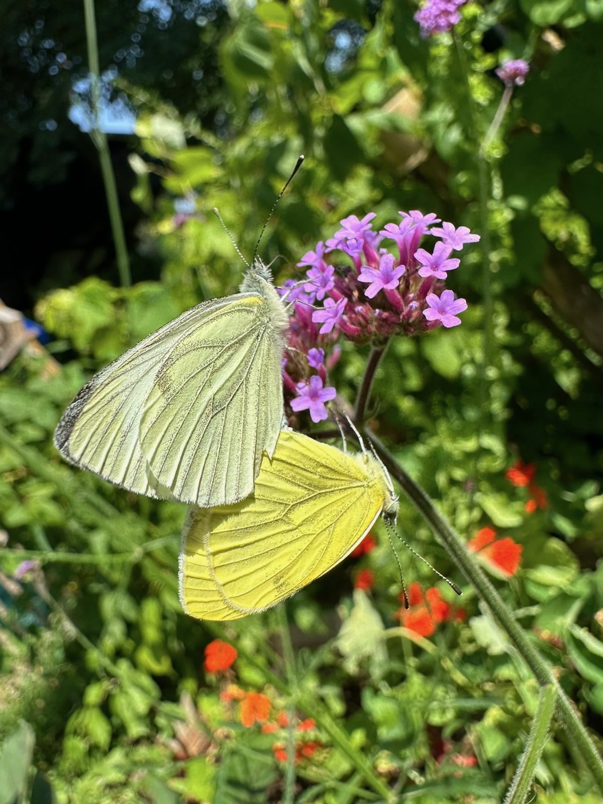 Home 5e9f901c 8577 4b5b ae7a 385d8590a57e