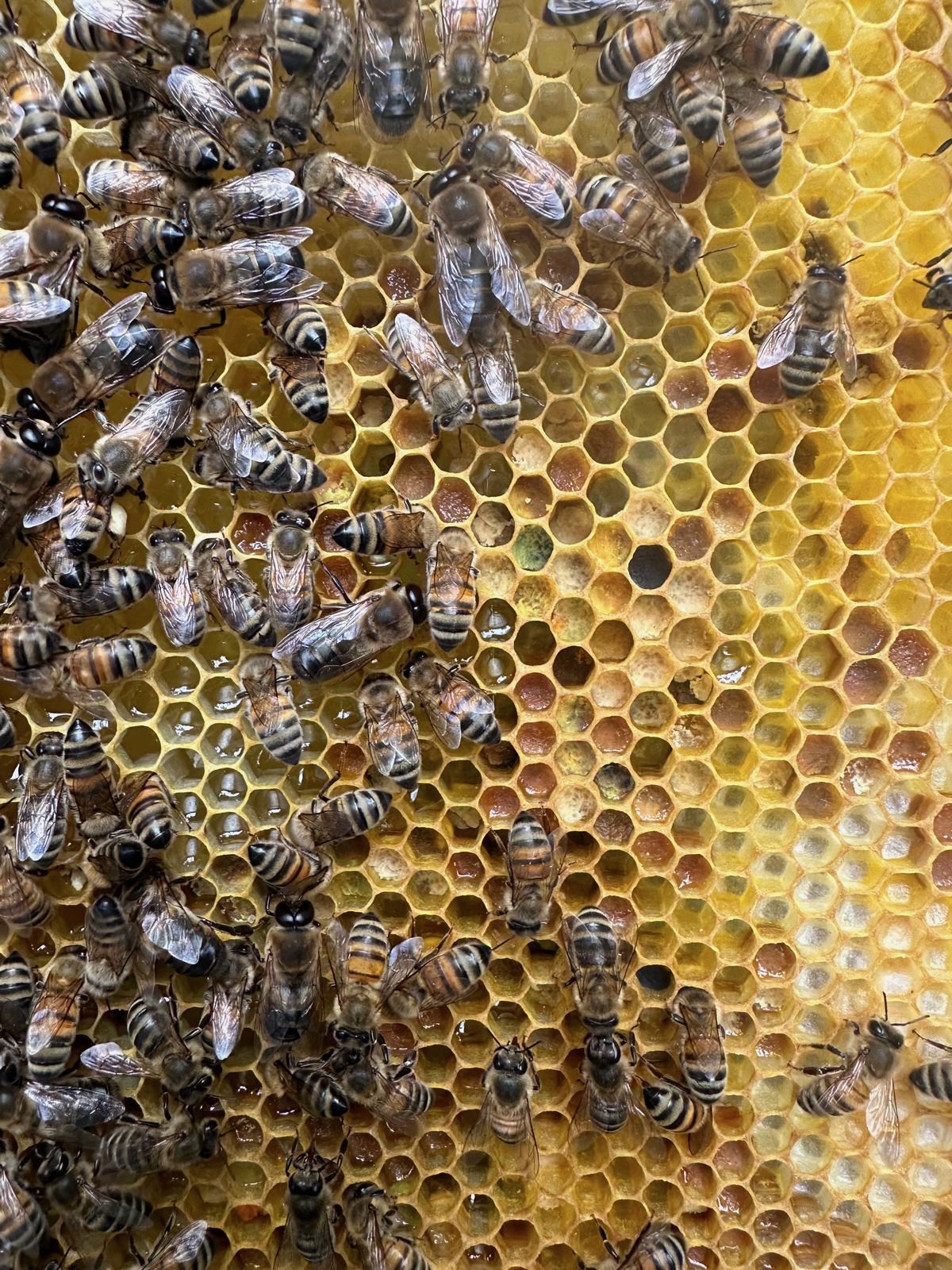 Home 93349d6e 87dc 416f 9c84 d7089f956560