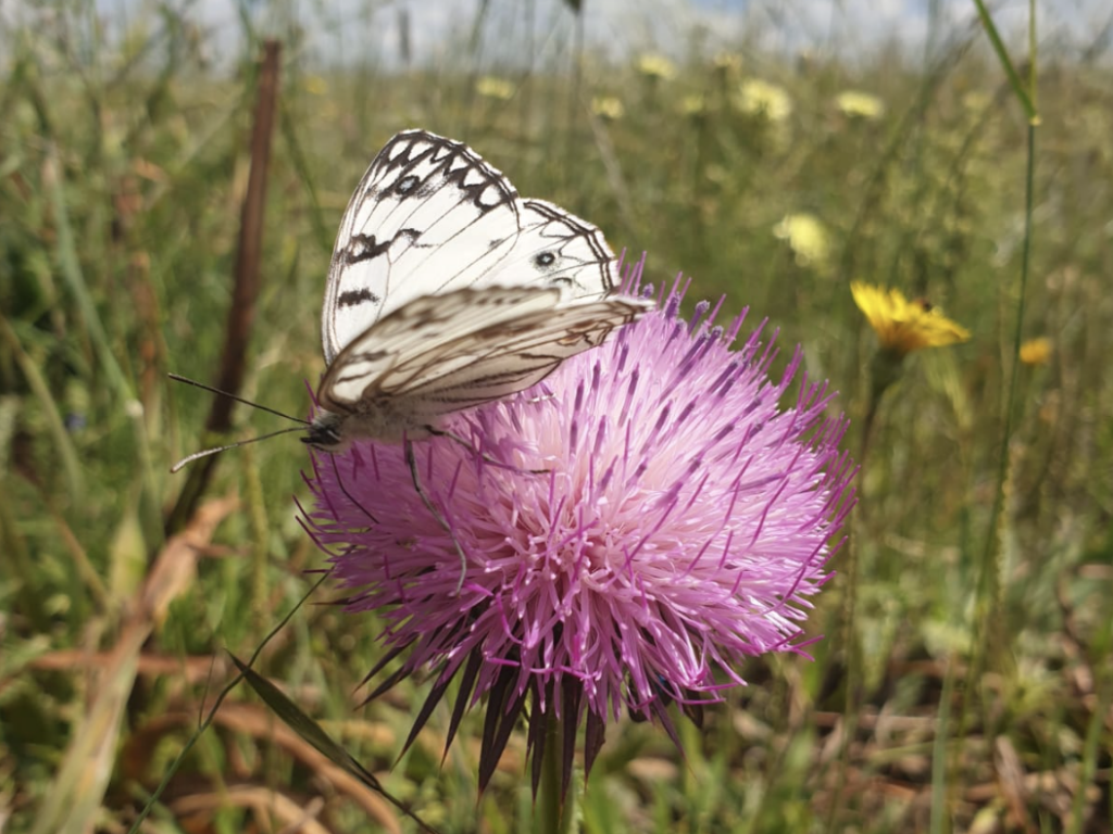 scherm­afbeelding 2026 02 23 om 14.13.02