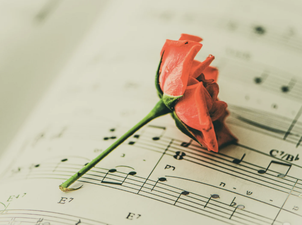 scherm­afbeelding 2026 02 23 om 14.15.19