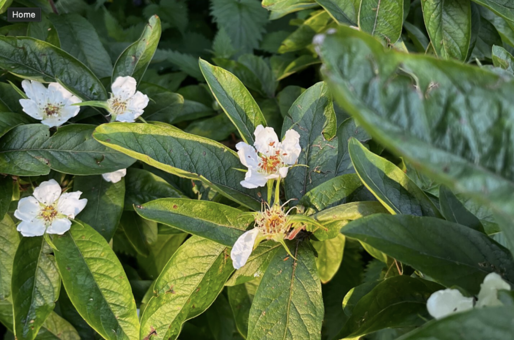 scherm­afbeelding 2026 02 23 om 16.44.51