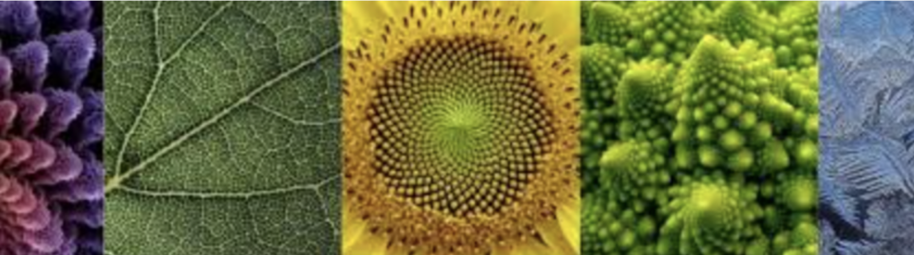 scherm­afbeelding 2026 02 23 om 21.51.17