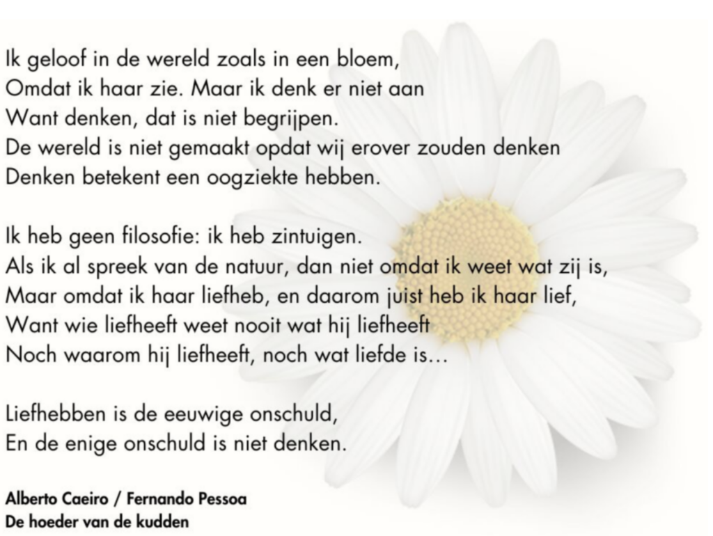 scherm­afbeelding 2026 02 23 om 21.59.14