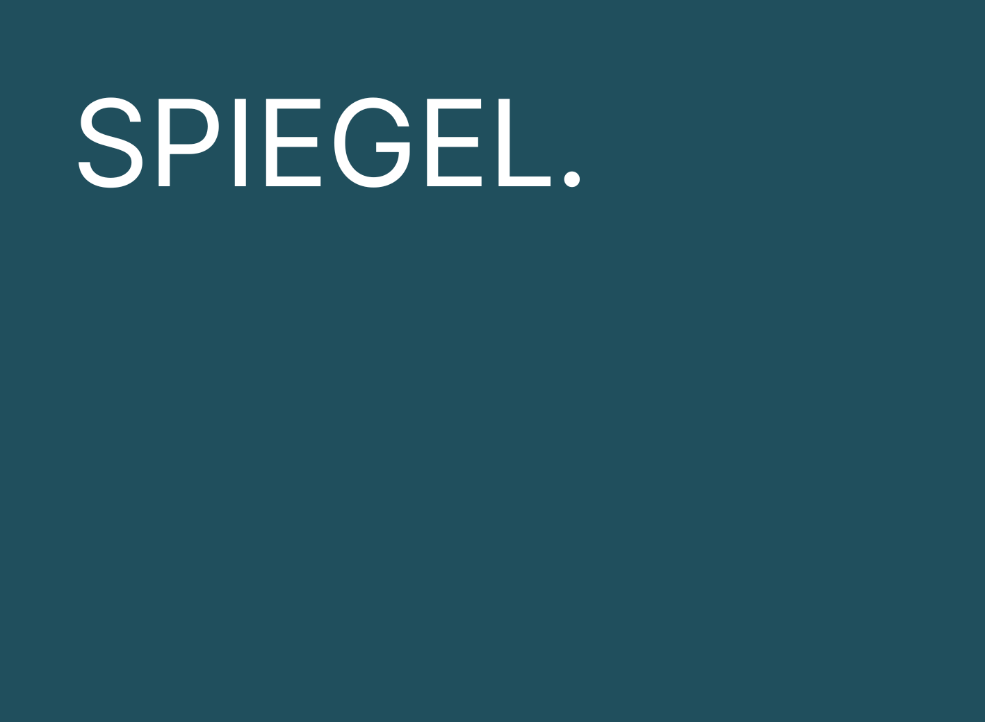 Spiegel van de leider
